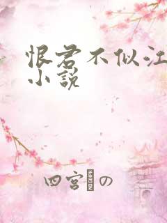 恨君不似江楼月小说