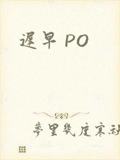 迟早 PO