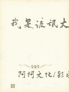 我是流氓大律师