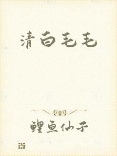 清白毛毛