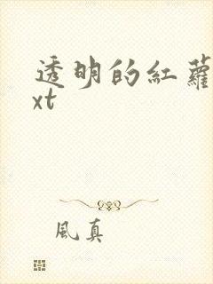 透明的红萝卜txt