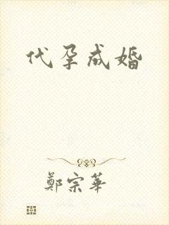 代孕成婚