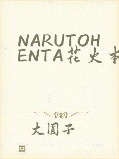 NARUTOHENTA花火本子