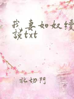 我妻如奴续写小说txt