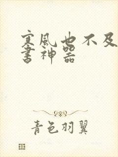 寒风也不及她追书神器