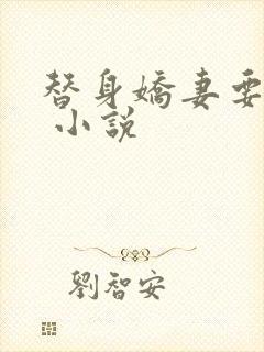 替身娇妻要离婚 小说