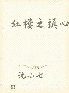 红楼之禛心锁玉