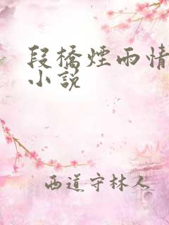 段桥烟雨情难离小说