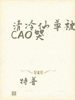 清冷仙尊被强制CAO哭