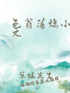 色翁荡熄小说全文