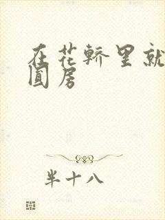 在花轿里就开始圆房