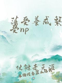 荡受养成系统总受np