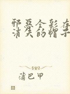 邪恶全彩存在感消失的帽子