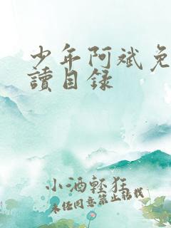 少年阿斌免费阅读目录