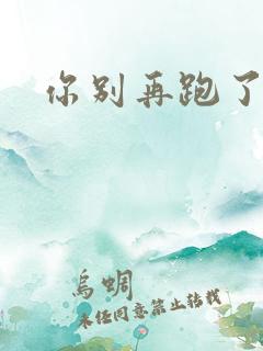 你别再跑了po