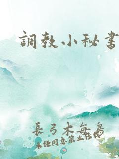 调教小秘书