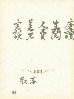 完美人生唐诚小说免费阅读