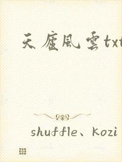天庐风云txt