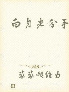 白月光分手日常