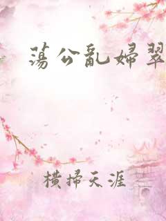 荡公乱妇翠翠