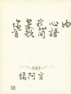 你是我心内的一首歌简谱