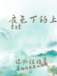 夜色下的上海滩 txt