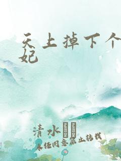 天上掉下个奇王妃