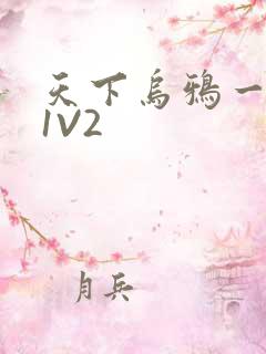 天下乌鸦一般黑1V2