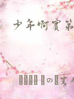 少年啊宾第二部