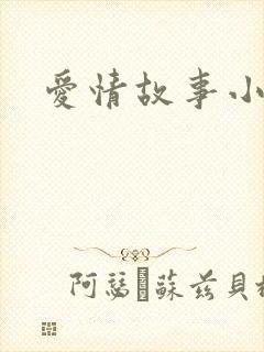 爱情故事小说