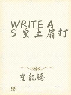 WRITE AS 皇上扇打