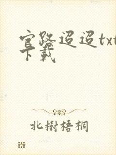 官路迢迢txt下载