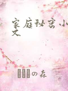 家庭秘密小说全文