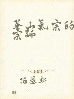 华山气宗的形意宗师