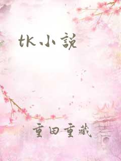 tk小说