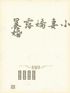 暴露娇妻小月新婚