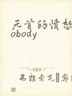 元首的愤怒之nobody