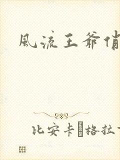 风流王爷俏相公