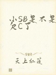 小SB是不是又欠C了
