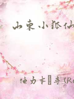 山东小狐仙