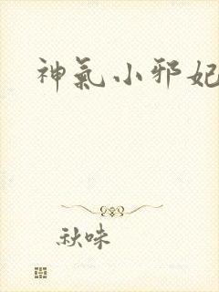 神气小邪妃