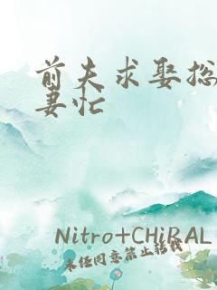 前夫求娶总裁追妻忙