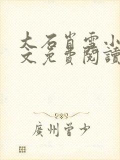 大石肖雪小说全文免费阅读