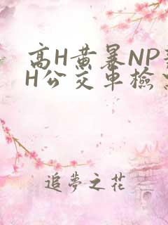 高H黄暴NP辣H公交车检票员
