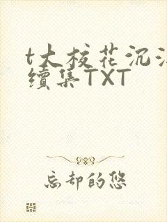t大校花沉浮录续集TXT