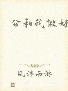 公和我做好爽