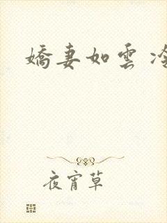 娇妻如云 冷雨