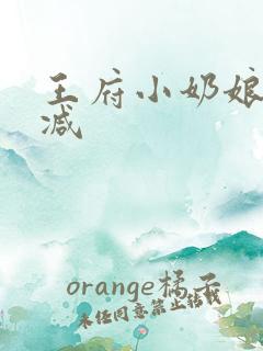 王府小奶娘未删减