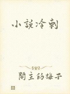 小说冷刺