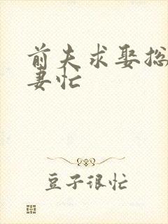 前夫求娶总裁追妻忙